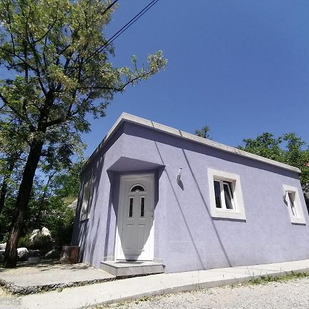 Purple Peace Cetinje Exteriér fotografie